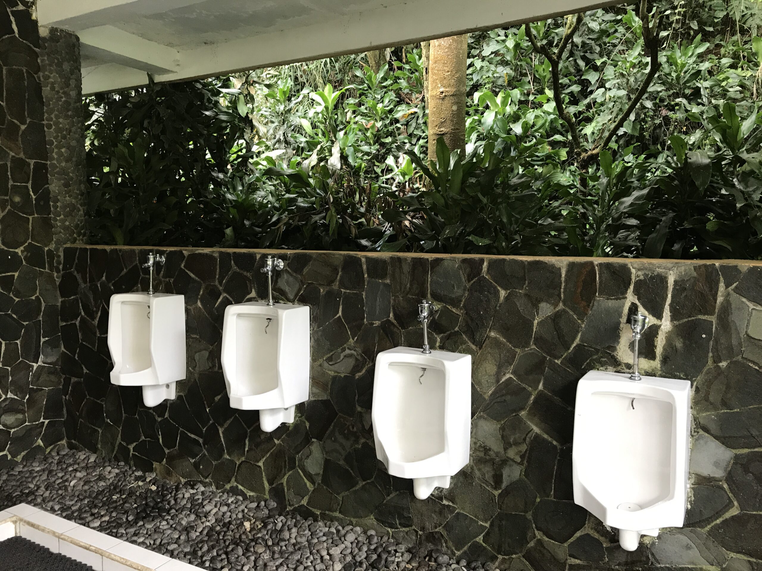unique outdoor urinal public restroom